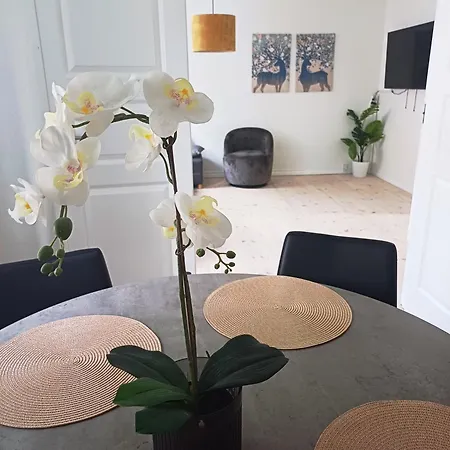 Apartment In The With Free Parking